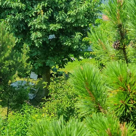Apartman Heidiholiday-jenins Grand Maisonette-attika Mit Office & Relax-bereich, Aussenparkplatz & Garage, Geschuetzte Sonnen-panoramaterrasse, Aufgewertet 2024 Jenins