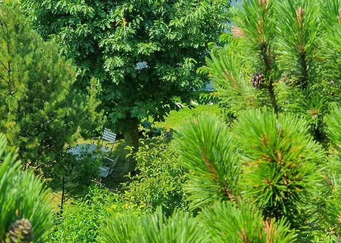 Daire Heidiholiday-jenins Grand Maisonette-attika Mit Office & Relax-bereich, Aussenparkplatz & Garage, Geschuetzte Sonnen-panoramaterrasse, Aufgewertet 2024 Jenins